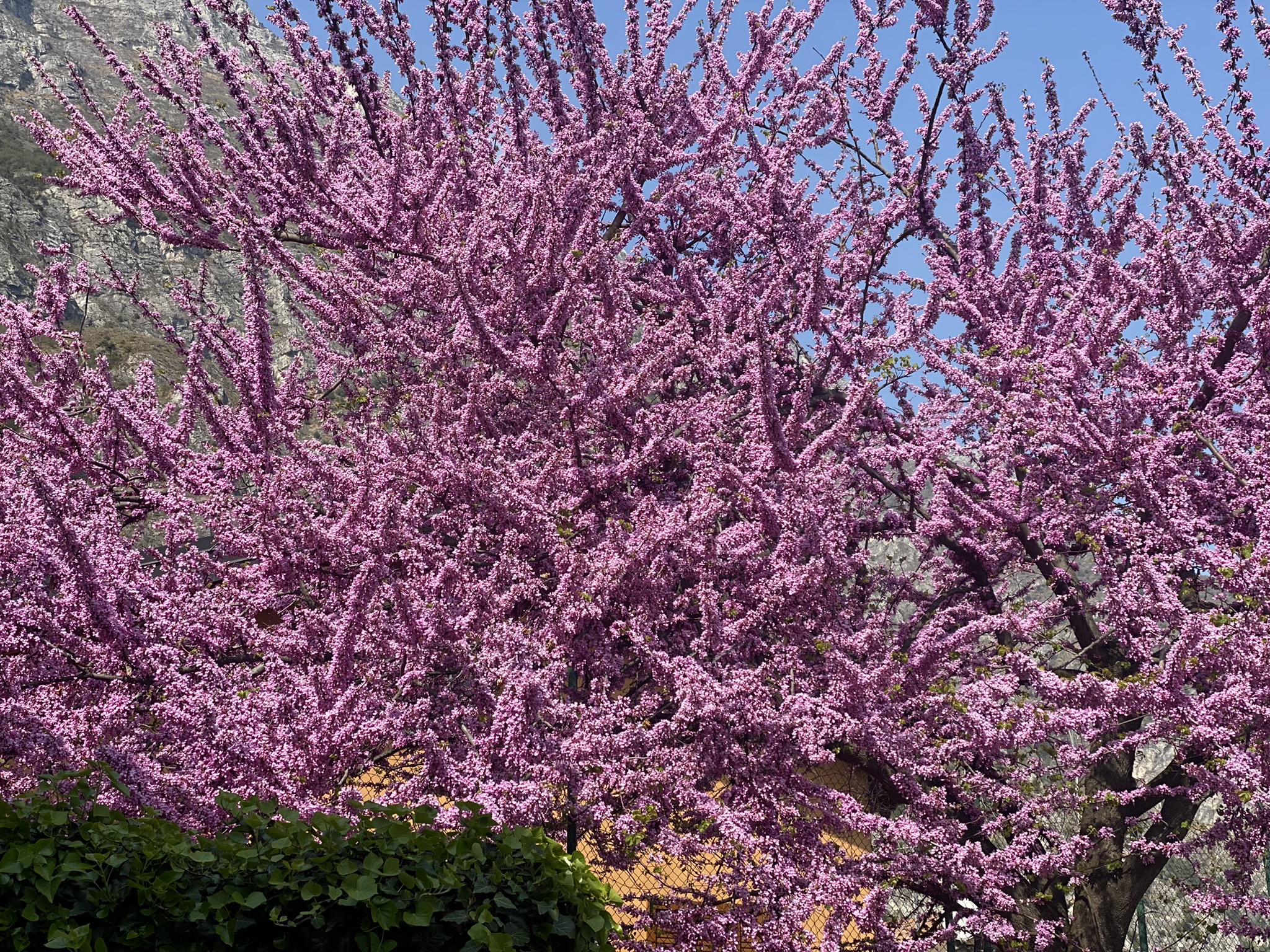 Tantra Yoga – Weisheit für ein bewusstes Leben und erfüllte Beziehungen